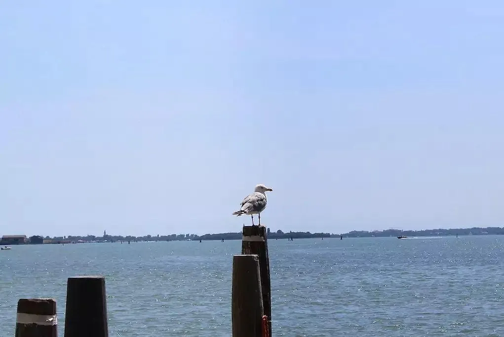Apartment Wonderful View Over Venetian Lagoon
